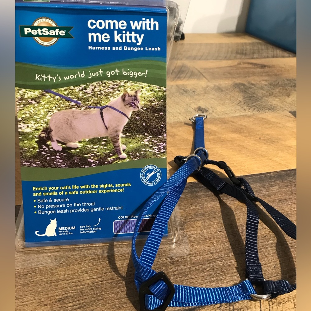 Come With Me - Kitty Harness